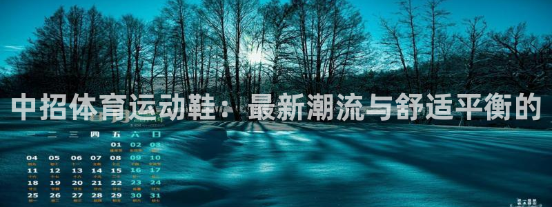 熊猫体育手机版下载：中招体育运动鞋：最新潮流与舒适平衡的
