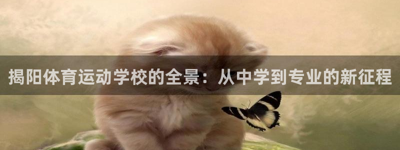 熊猫体育比赛直播：揭阳体育运动学校的全景：从中学到专业的新征程