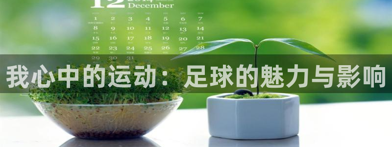 动感熊猫体育公园：我心中的运动：足球的魅力与影响