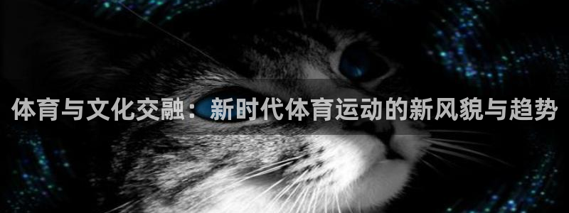 熊猫体育官网首页入口：体育与文化交融：新时代体育运动的新风貌与趋势