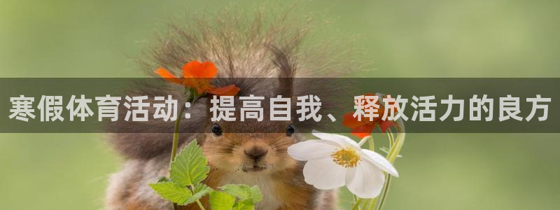 熊猫体育官方网站