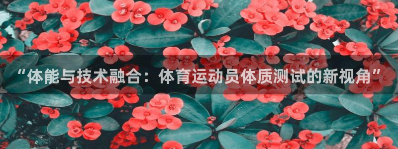 熊猫体育官网首页入口：“体能与技术融合：体育运动员体质测试的新视角”