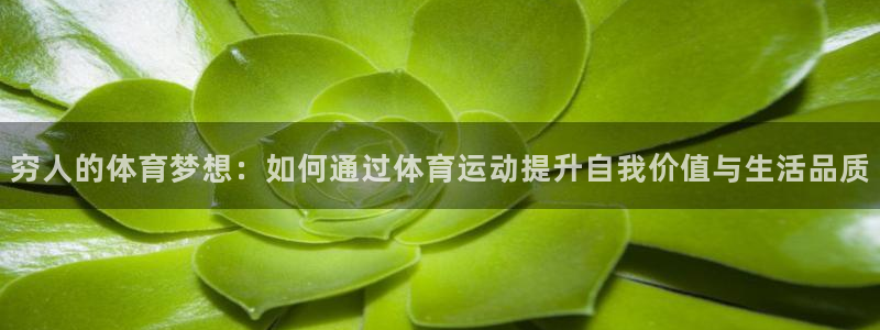 熊猫体育app官方入口：穷人的体育梦想：如何通过体育运动提升自我价值与生活品质
