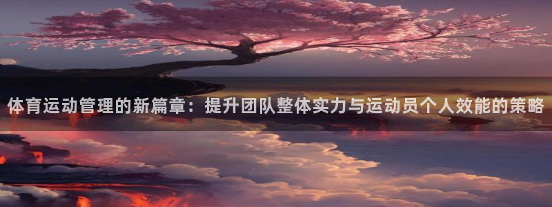 熊猫体育文化有限公司