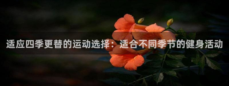 熊猫体育app下载安装