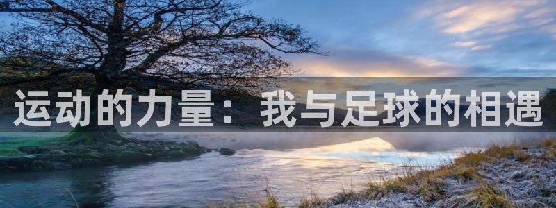 熊猫体育手机版下载：运动的力量：我与足球的相遇