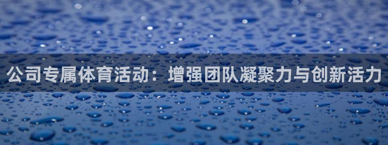 熊猫体育比赛直播：公司专属体育活动：增强团队凝聚力与创新活力